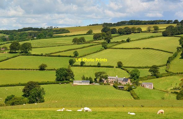 Photo 6"x4" View to West Liscombe, near East Anstey, Devon Waddicombe c2014