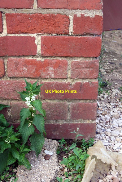 Photo 6"x4" Benchmark on #33 Cromwell Road Banbury\/SP4540 c2014