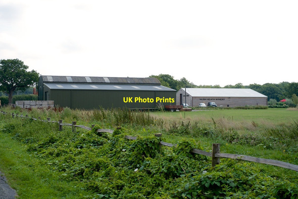 Photo 6"x4" Hush Heath Winery Five Oak Lane Marden Thorn c2014