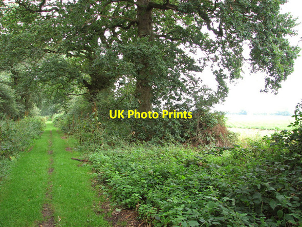 Photo 6"x4" North along Procession Way North Pickenham c2014
