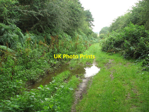 Photo 6"x4" Puddle on the Peddars Way North Pickenham c2014