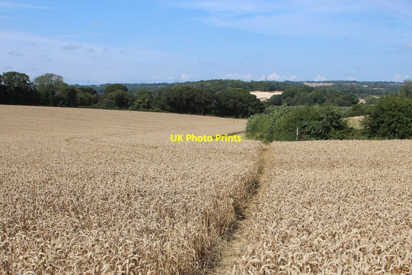 Photo 6"x4" 1066 Country Walk Pebsham c2014