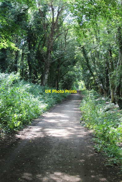 Photo 6"x4" Former Bexhill West Branch Line Bexhill c2014