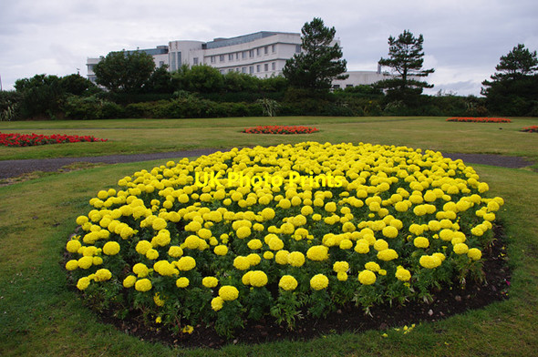 Photo 6"x4" Promenade gardens, Morecambe Morecambe c2014