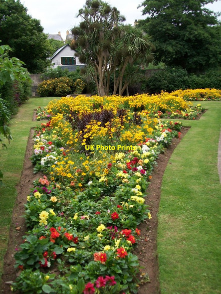 Photo 6"x4" Flower beds at Portaferry Park Portaferry c2014