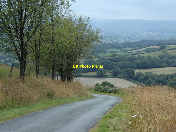 Photo 6"x4" Lane between Abbeycwmhir and Rhayader Gaufron c2014