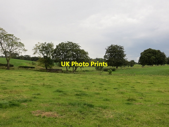 Photo 6"x4" Park Farm pasture Auldhouse c2014