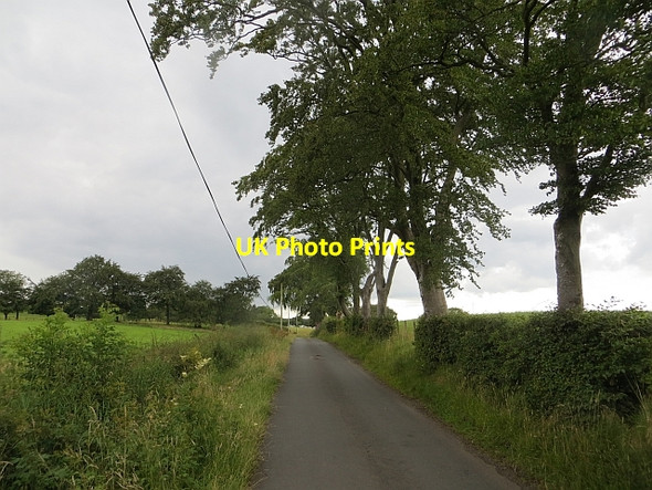 Photo 6"x4" Auldhouse Road Auldhouse c2014