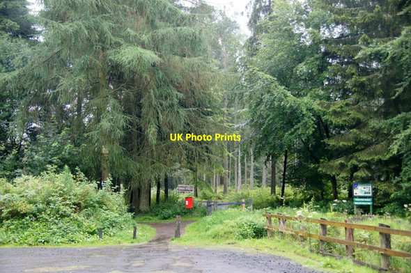Photo 6"x4" Entrance to Templeton Woods Dundee\/NO3632 c2014
