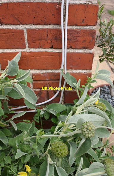 Photo 6"x4" Benchmark on #4 Freedom Cottages South Stoke\/SU5983 c2014