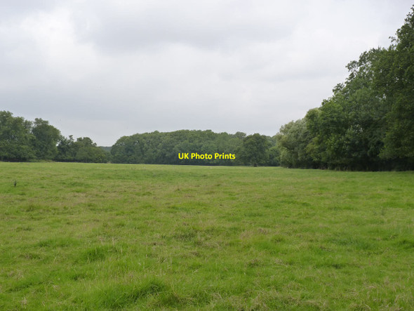 Photo 6"x4" Field near Ossington Moorhouse\/SK7566 c2014