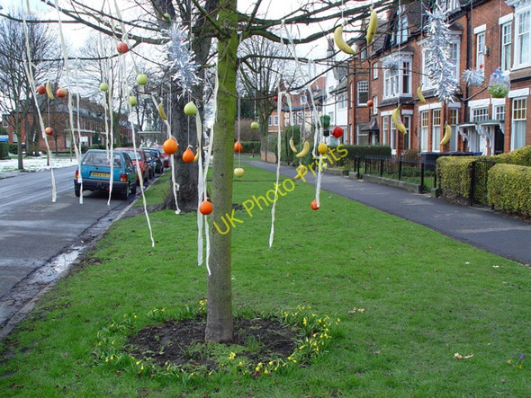 Photo 6"x4" Westbourne Avenue, Hull Kingston upon Hull c2004 P2