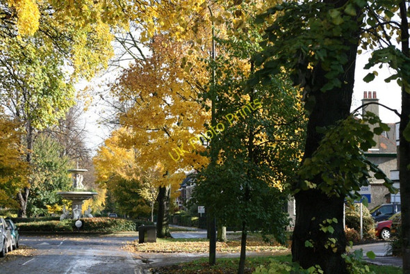 Photo 6"x4" Autumnal Westbourne Avenue, Hull Kingston upon Hull c2008