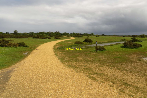 Photo 6"x4" Track on Greenham Common Newbury\/SU4767 c2014