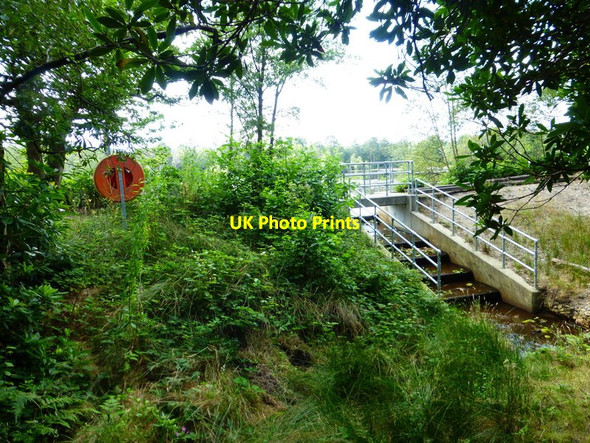 Photo 6"x4" Outflow from Henleypark Lake Willey Green c2014