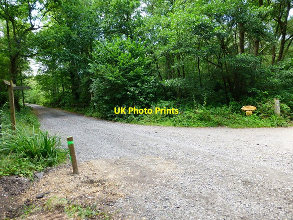 Photo 6"x4" Bridleway junction west of the A324 Willey Green c2014