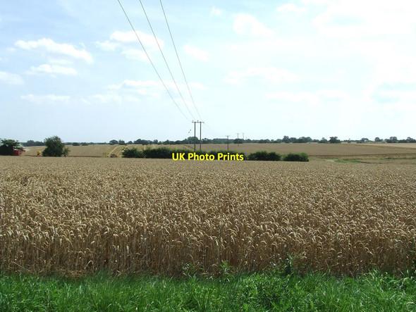 Photo 6"x4" Fields Of Wheat Chediston Green c2014