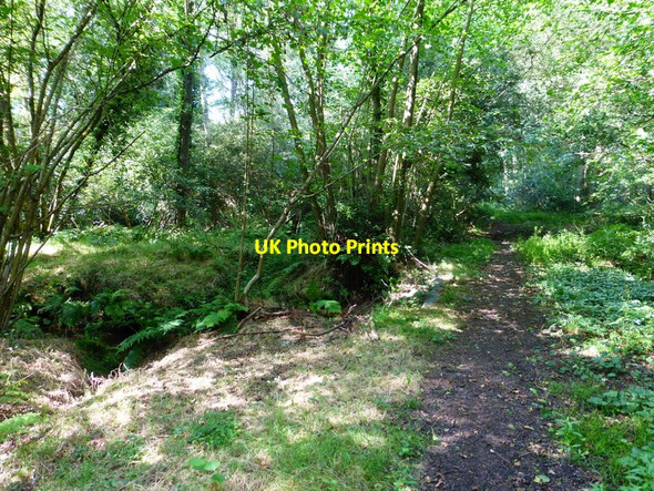 Photo 6"x4" Footpath crosses Stanford Brook Pirbright c2014