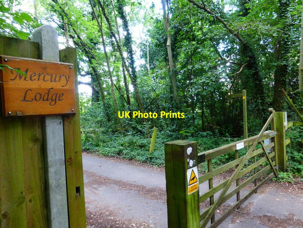 Photo 6"x4" Footpath leaving Cobbett Hill Road uses drive for Mercury Lodge  Littlefield Common c2014