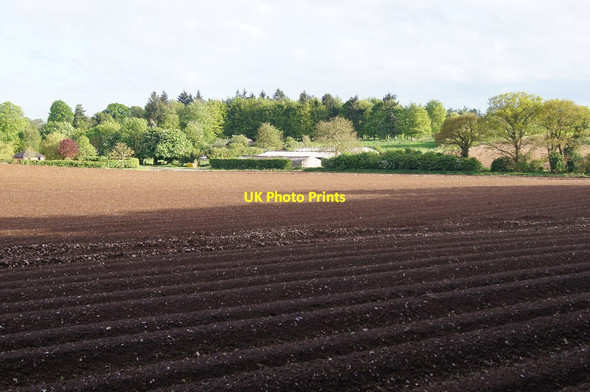 Photo 6"x4" View of Bradley Farm Popham\/SU5543 c2014