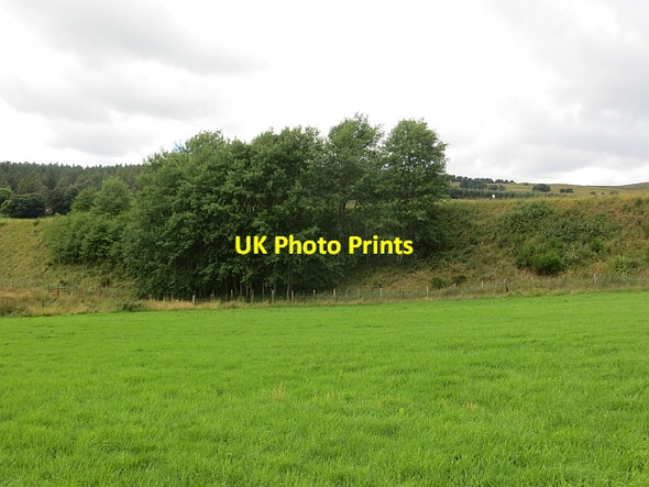 Photo 6"x4" Railway embankment Grantown-On-Spey c2014