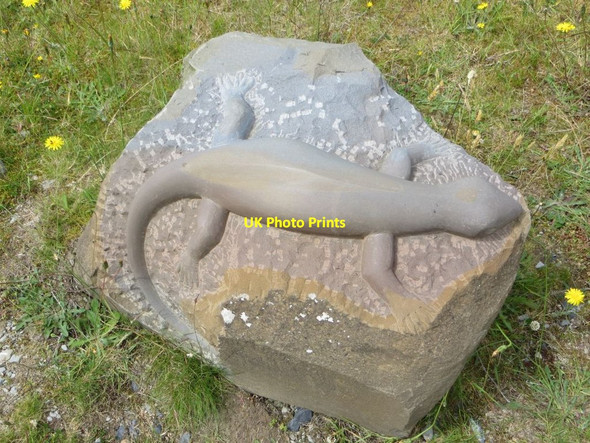 Photo 6"x4" Lizard on a rock Nantserth c2014