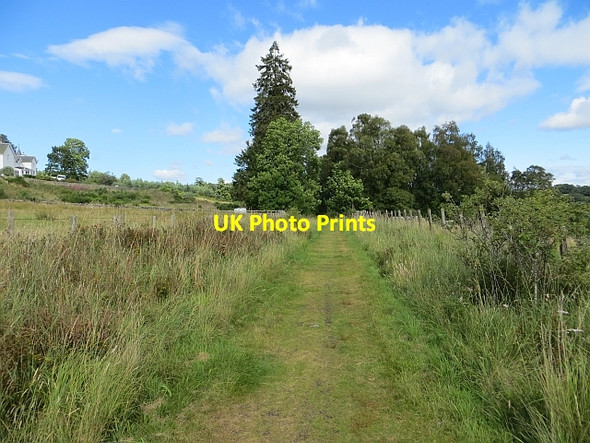 Photo 6"x4" Strathspey Railway trackbed Cragganmore\/NJ1636 c2014