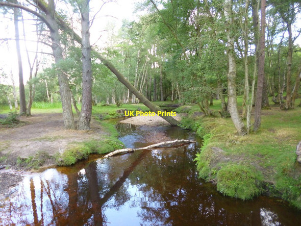 Photo 6"x4" Ibsley, Dockens Water Linwood\/SU1809 c2014