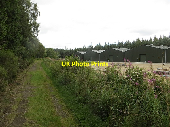 Photo 6"x4" Strathspey Railway trackbed, Tamdhu Knockando c2014