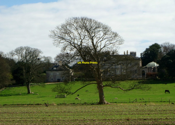 Photo 6"x4" Came House, Winterbourne Came Dorchester\/SY6890 c2014