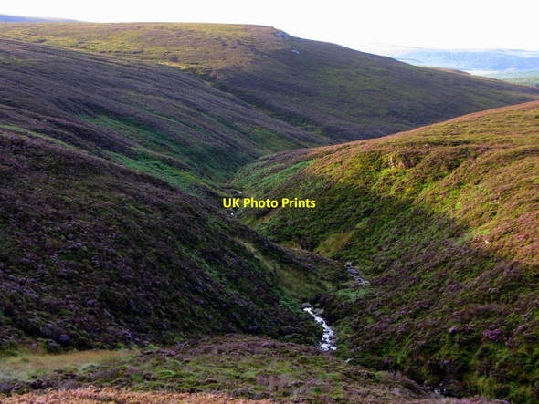 Photo 6"x4" Black Needle Knox Knowe c2014