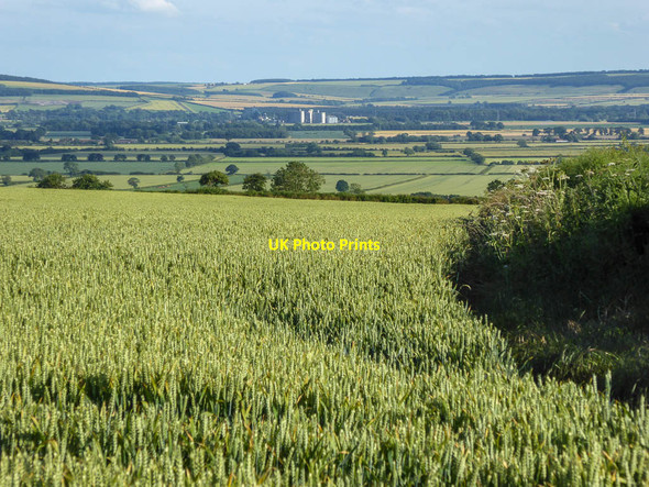 Photo 6"x4" Farmland near Thornton-le-Dale, Yorkshire Ellerburn c2014