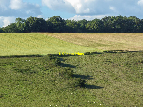Photo 6"x4" Ellerburn Banks, Thornton-le-Dale, Yorkshire Ellerburn c2014