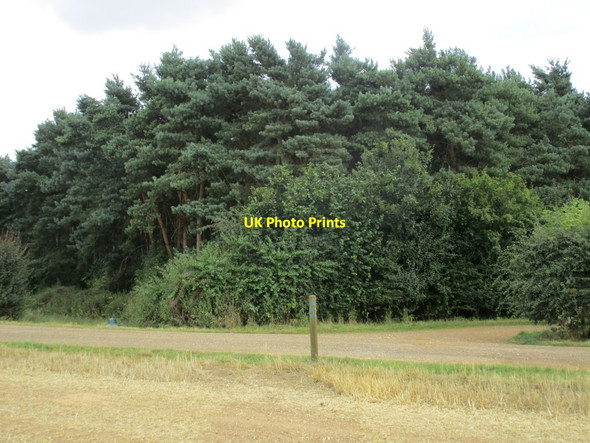 Photo 6"x4" Waymarker, Hardwick Heath Cottisford c2014