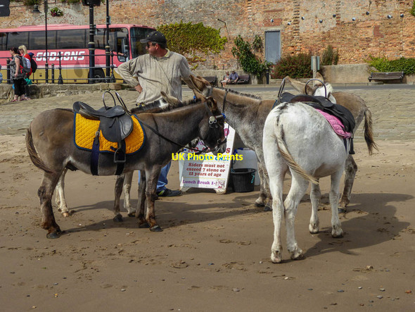 Photo 6"x4" Donkeys, South Sands, Scarborough, Yorkshire Scarborough\/TA0388 c2014