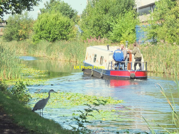 Photo 6"x4" Heron on Leeds Liverpool Canal Bootle\/SJ3394 c2014