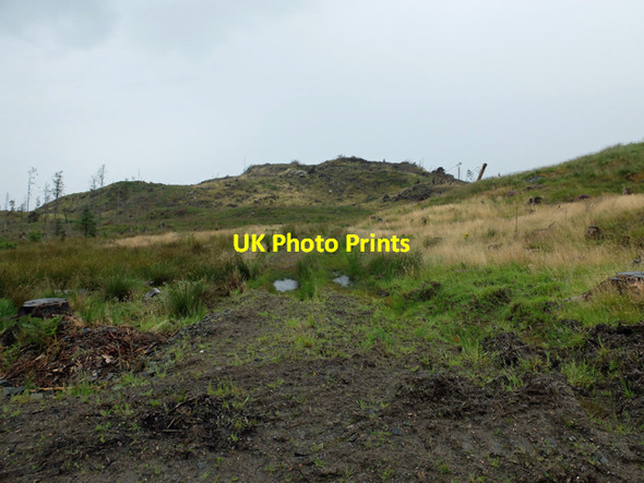 Photo 6"x4" Track in Eilanreach forest Eilanreach c2014