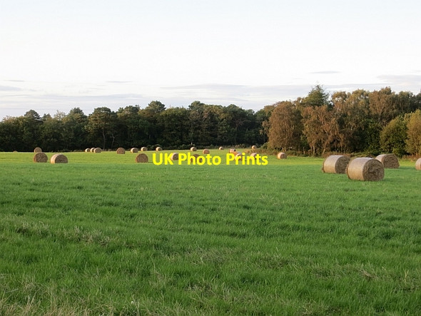 Photo 6"x4" Hay, Wood Park Elgin c2014