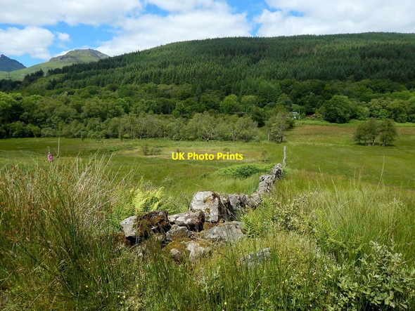 Photo 6"x4" Dry-stone dyke Arrochar c2014