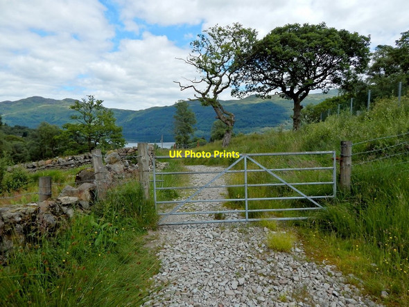 Photo 6"x4" The Three Lochs Way Tarbet\/NN3104 c2014