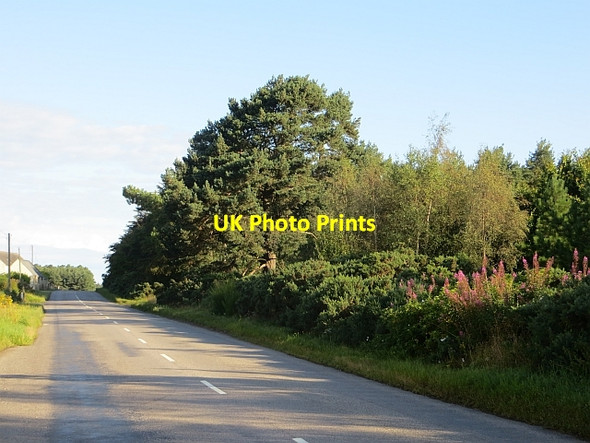 Photo 6"x4" B9013, Easterton College of Roseisle c2014