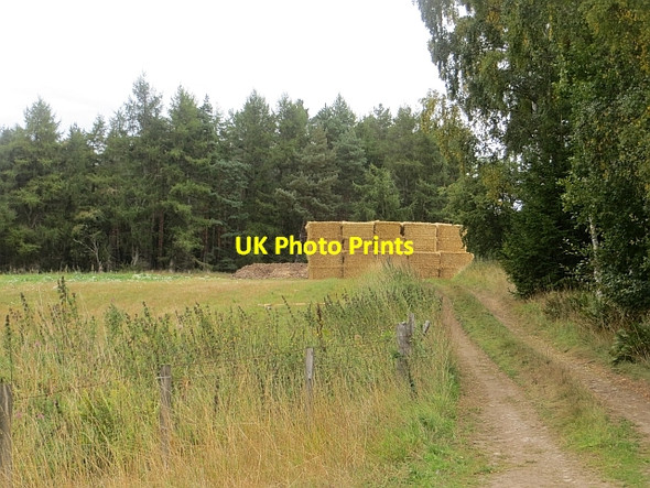 Photo 6"x4" Bale stack, Murray Haugh Spittalfield c2013