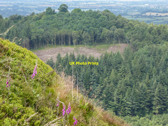 Photo 6"x4" Roulston Scar, Sutton Bank, Yorkshire High Kilburn c2014