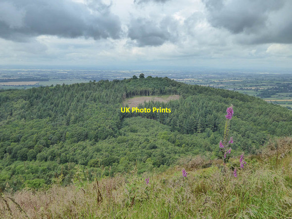Photo 6"x4" Hood Hill Plantation, Sutton Bank, Yorkshire High Kilburn c2014