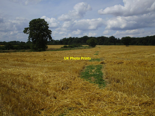 Photo 6"x4" Bridleway to Tusmore Hardwick\/SP5729 c2014