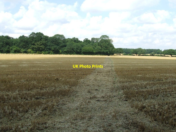 Photo 6"x4" Footpath To Oak Grove Framlingham c2014