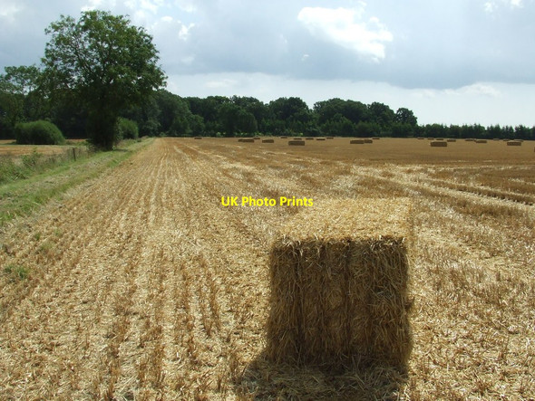 Photo 6"x4" Harvested Field Framlingham c2014