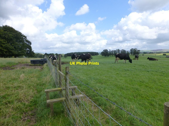 Photo 6"x4" Stile on footpath near Bracewell Barnoldswick\/SD8746 c2014