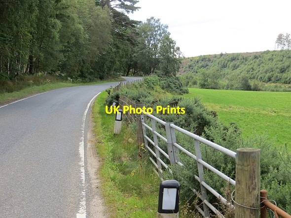 Photo 6"x4" B9007, Airdrie Relugas c2014