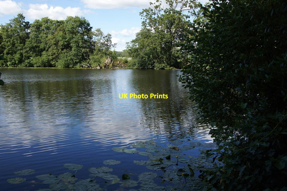 Photo 6"x4" Ornamental lake, Nieuport House, Eardisley Almeley c2014